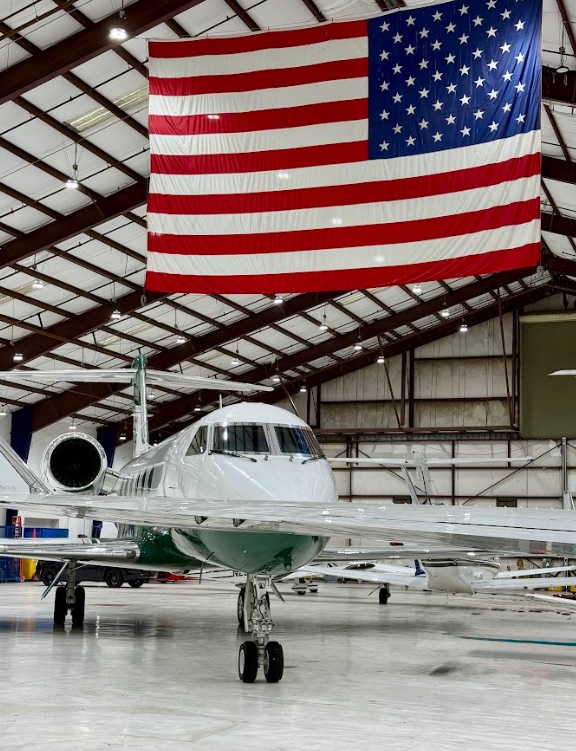 Falcon aircraft detailing service example